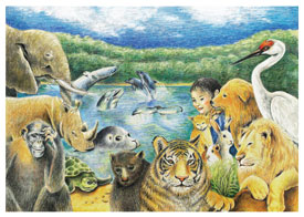 Animal Kingdom Card
